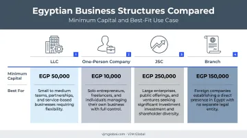 Egypt business entity comparison chart LLC OPC JSC branch structures