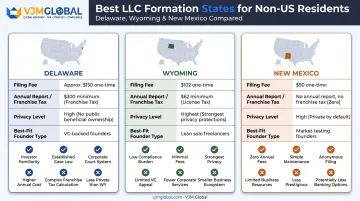 Delaware Wyoming and New Mexico LLC comparison for non-resident founders