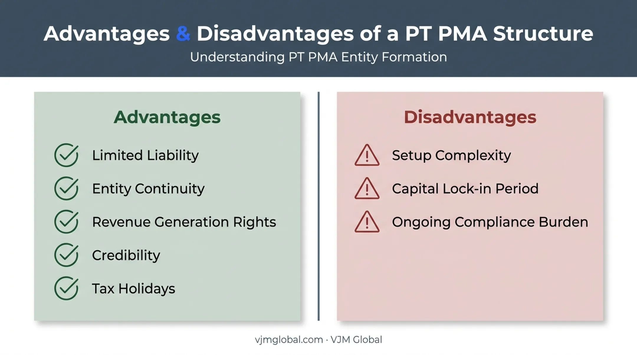 PT PMA structure advantages versus disadvantages comparison chart