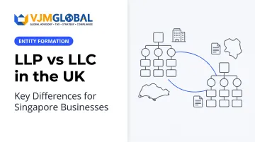 LLP vs LLC in the UK: Key Differences for Singapore Businesses