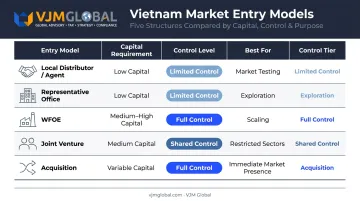 Five Vietnam market entry structures comparison chart capital control and best use