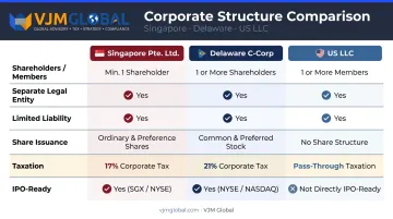 Singapore Pte. Ltd. versus Delaware C-Corp versus US LLC comparison table infographic