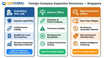 Singapore business structure comparison subsidiary branch office representative office for foreign companies