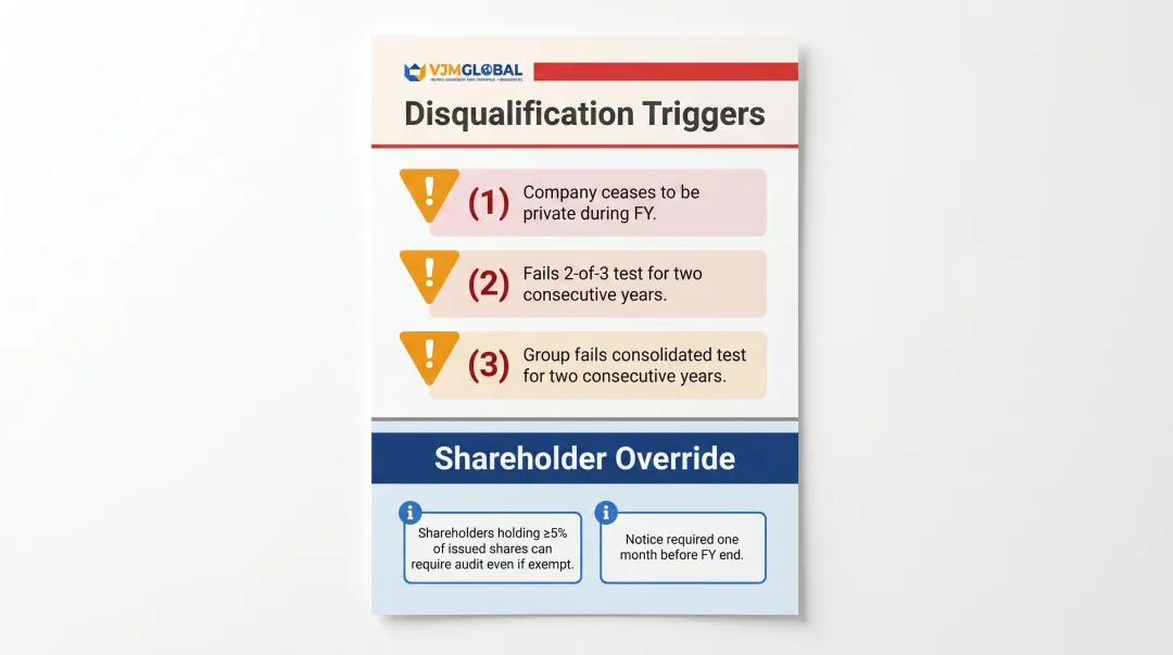 Singapore audit exemption disqualification triggers and shareholder override rules