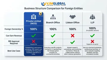 Four India business structures comparison chart for Singapore foreign entrepreneurs