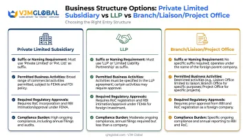 Comparison of business structure options for US founders entering India