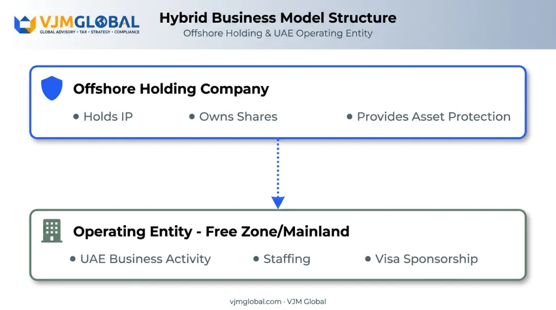 Hybrid offshore holding company and operating entity structure diagram