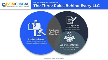 Registered agent versus organizer versus owner roles comparison chart