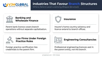 Industries commonly using Singapore branch office structure infographic
