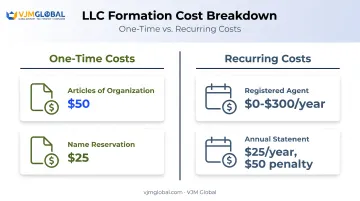 Michigan LLC one-time versus recurring cost breakdown chart