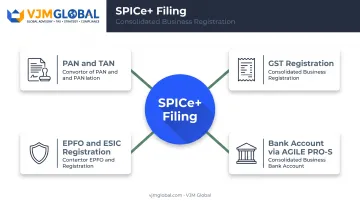 SPICe Plus single filing bundling multiple company registrations