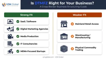DTMFZ business fit comparison for technology media and trading companies