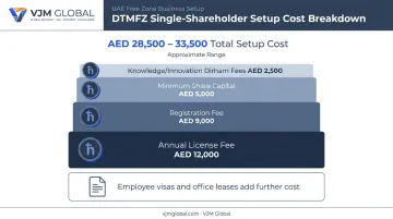 DTMFZ company formation cost breakdown for single shareholder setup
