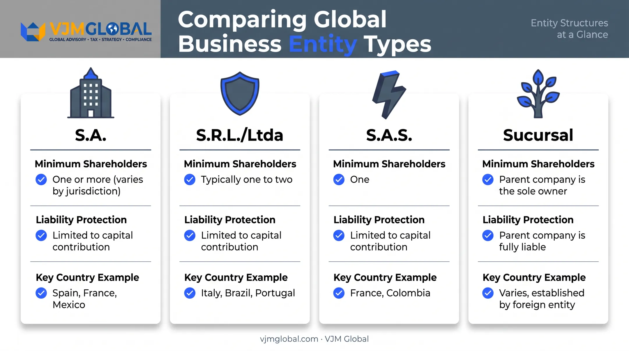 Four Latin American business entity types compared by liability and shareholders