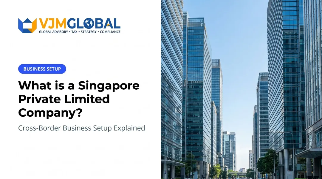 What is a Singapore Private Limited Company?