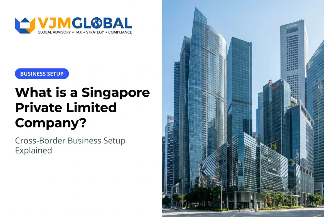 What is a Singapore Private Limited Company?
