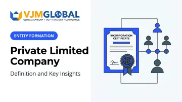 Private Limited Company: Definition and Key Insights