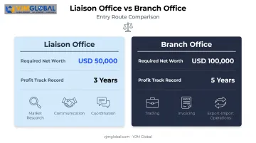 Liaison Office versus Branch Office eligibility requirements comparison