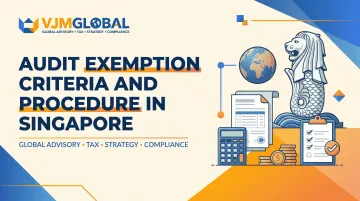 Audit Exemption Criteria and Procedure in Singapore