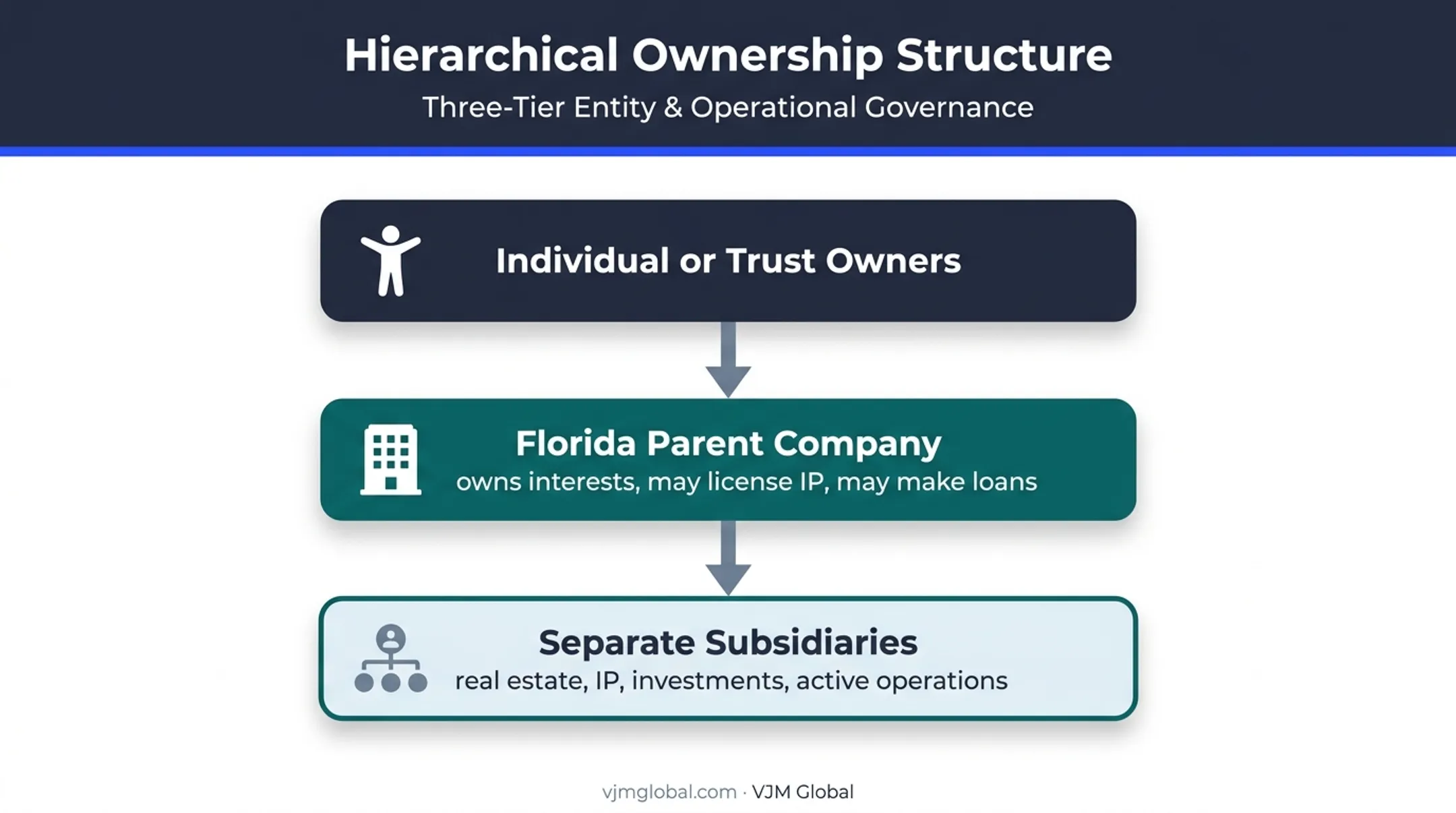 Florida holding company parent subsidiary ownership structure diagram