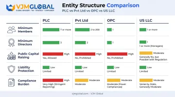 PLC Pvt Ltd OPC and US LLC entity comparison chart