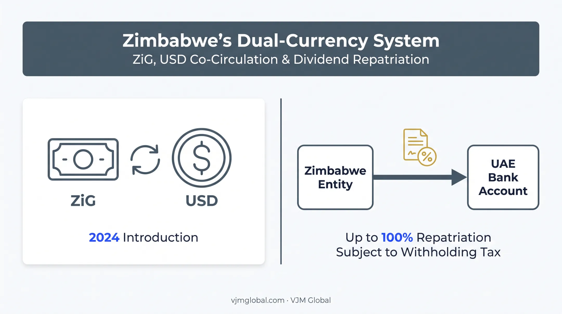 Zimbabwe currency and dividend repatriation rules for foreign investors