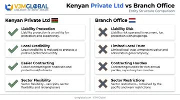 Kenyan Ltd versus branch structure liability and credibility comparison