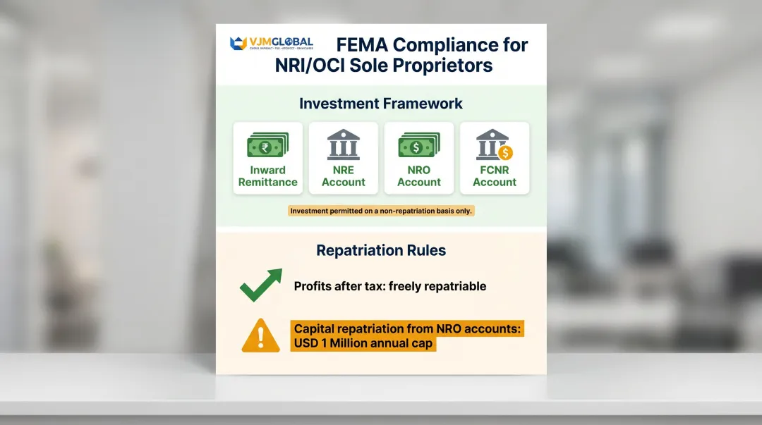 FEMA NRI OCI investment rules repatriation limits and permitted fund sources infographic