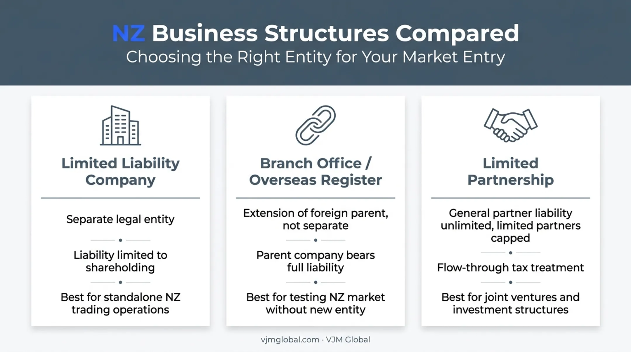 Three New Zealand business structure options comparison for Dutch entrepreneurs