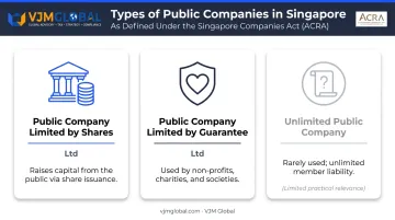 Three types of Singapore public companies classification comparison infographic
