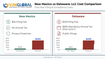 New Mexico versus Delaware LLC formation cost comparison chart