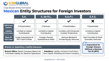 Mexican business entity types comparison chart foreign company owners