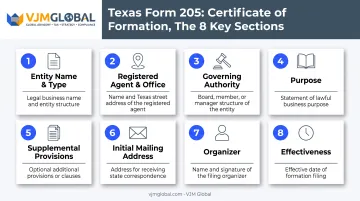 Texas Form 205 eight-section certificate of formation structure breakdown
