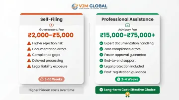 DIY versus professional consultant India entity setup cost and risk comparison