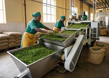 Agricultural export processing facility with groundnuts and tea products