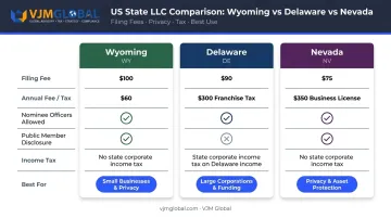 Wyoming Delaware Nevada LLC formation costs and features comparison chart