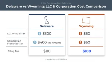 Delaware versus Wyoming state formation costs and tax comparison chart