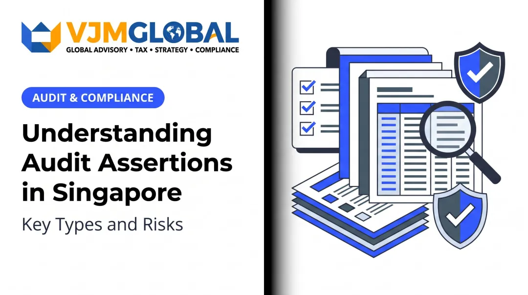 Understanding Audit Assertions in Singapore: Key Types and Risks