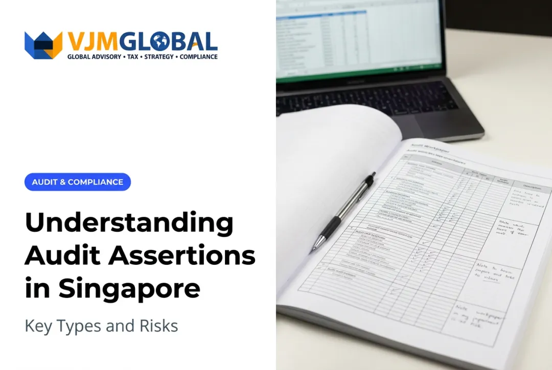 Understanding Audit Assertions in Singapore: Key Types and Risks