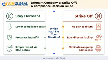 Dormant company versus strike off decision comparison chart for Singapore entities