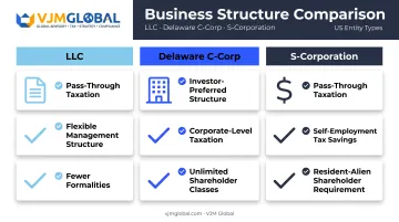 LLC versus Delaware C-Corp versus S-Corp structure comparison for green card holders