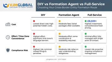 DIY versus formation agent versus full-service compliance risk comparison