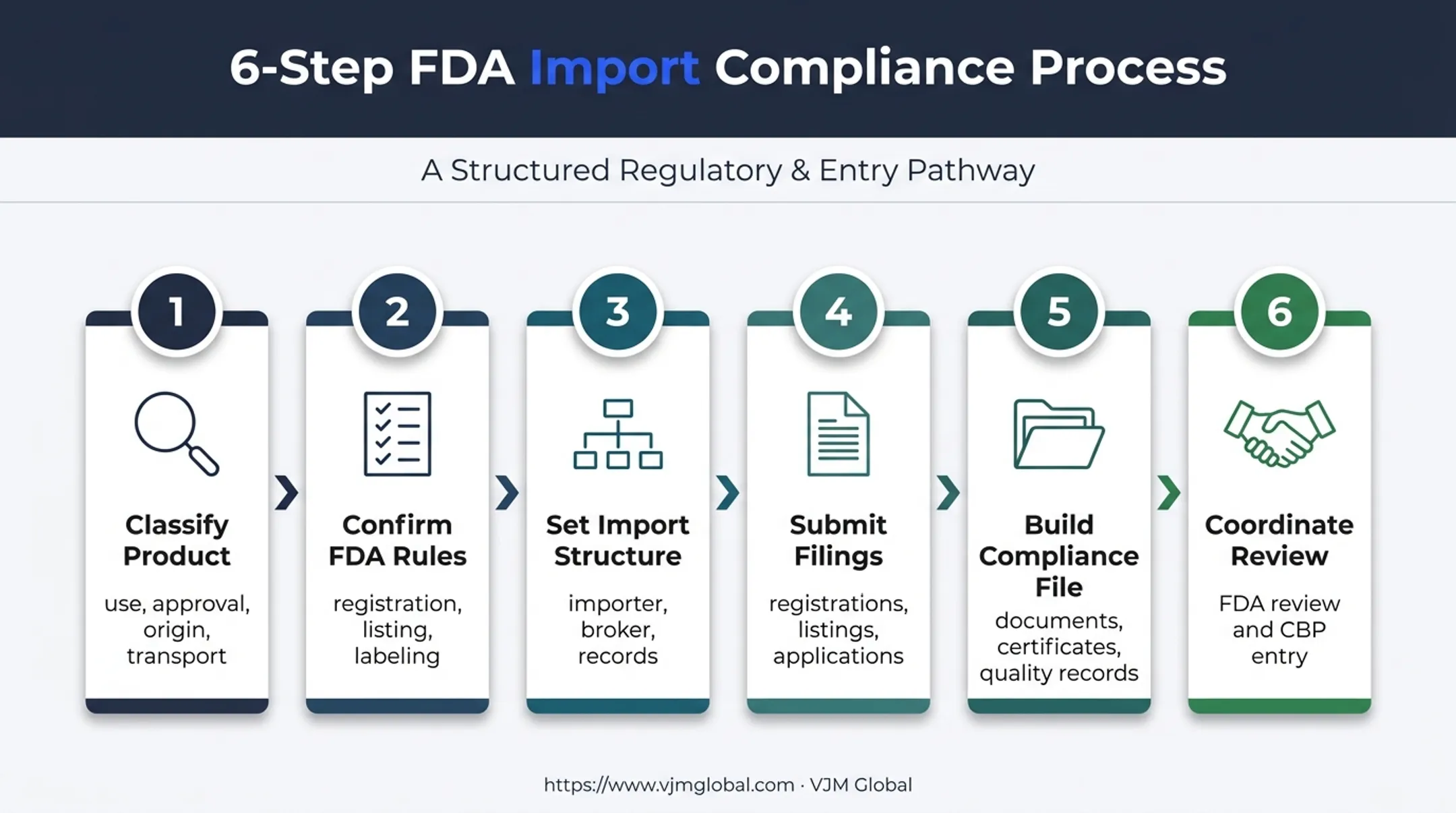 Six-step pharmaceutical import compliance process from classification to release