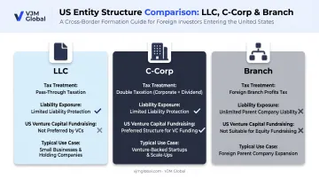 LLC versus C-Corp versus Branch entity structure comparison chart