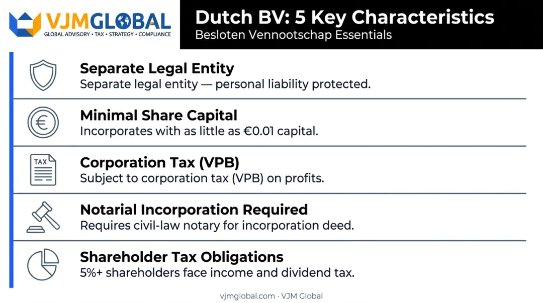 Dutch BV private limited company key characteristics summary breakdown infographic