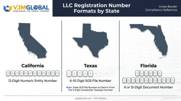 State-by-state LLC registration number format comparison California Texas Florida