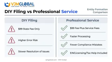 DIY versus professional LLC formation service comparison side-by-side