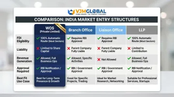 Four India company structure options comparison chart for Singapore businesses entering Chennai