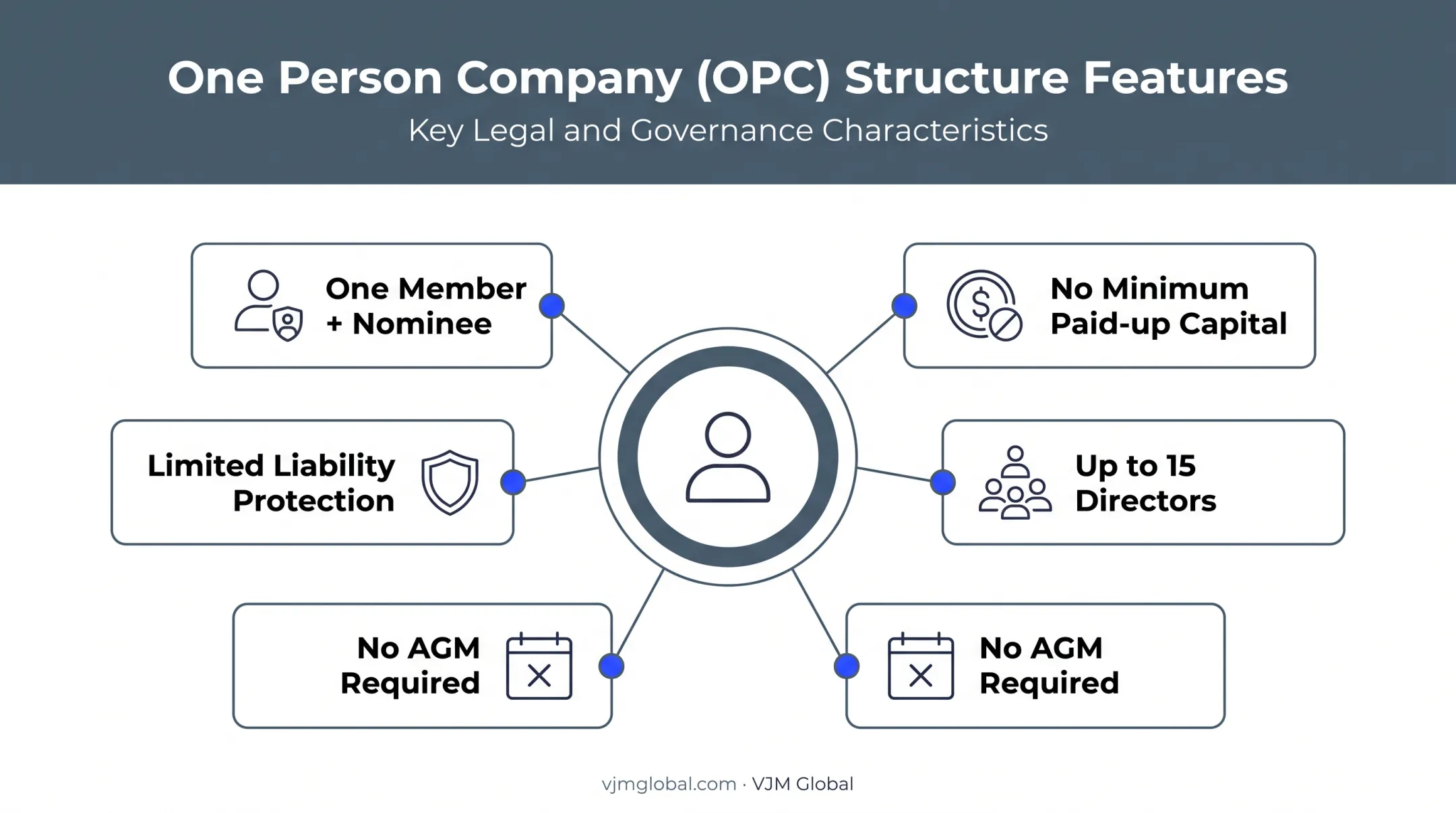 One Person Company key features and structure overview diagram