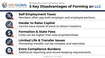 5 major disadvantages and drawbacks of forming an LLC